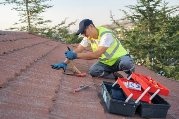 Best Roof Restoration Services  in Tellico Plains, TN