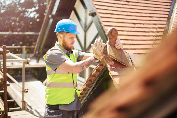 Best Roof Maintenance Services  in Tellico Plains, TN