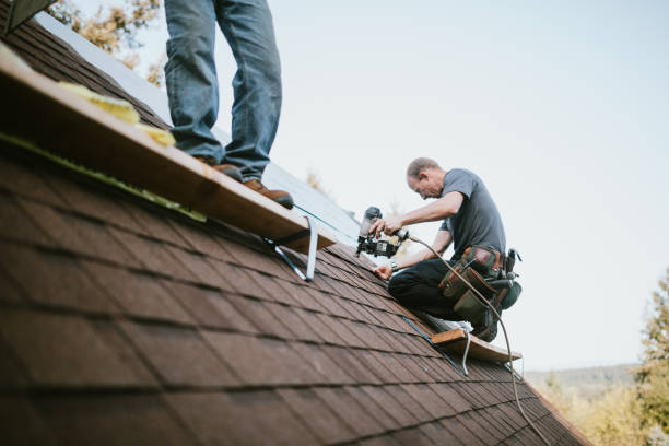 Tellico Plains, TN Roofing Contractor Company
